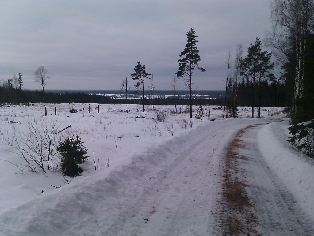 Snöig utsikt