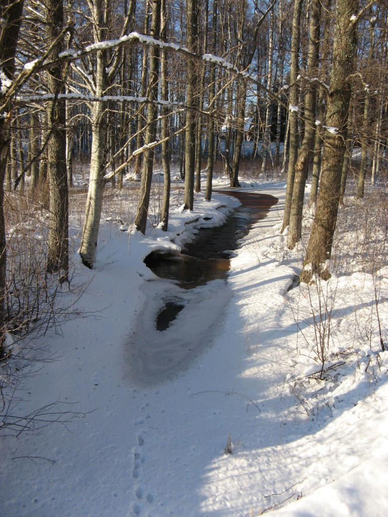 Bäck i snö
