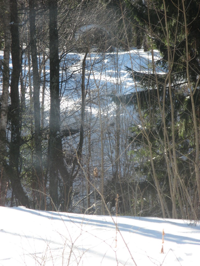 Snö