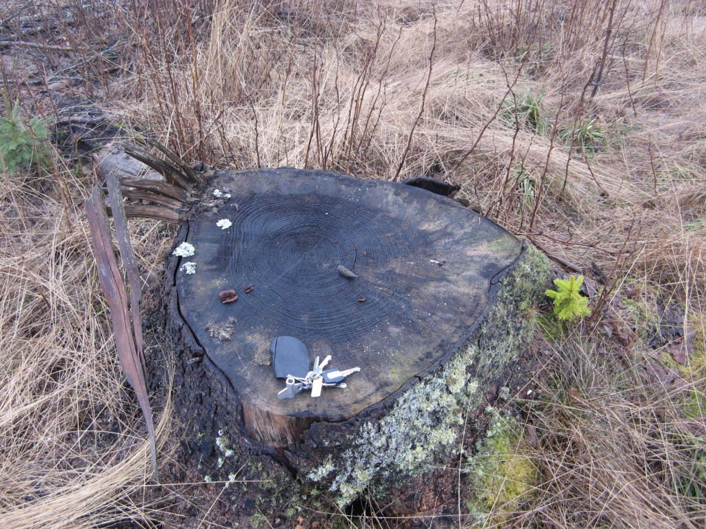 En stubbe