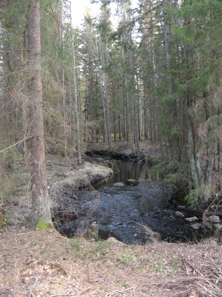 Bäcken