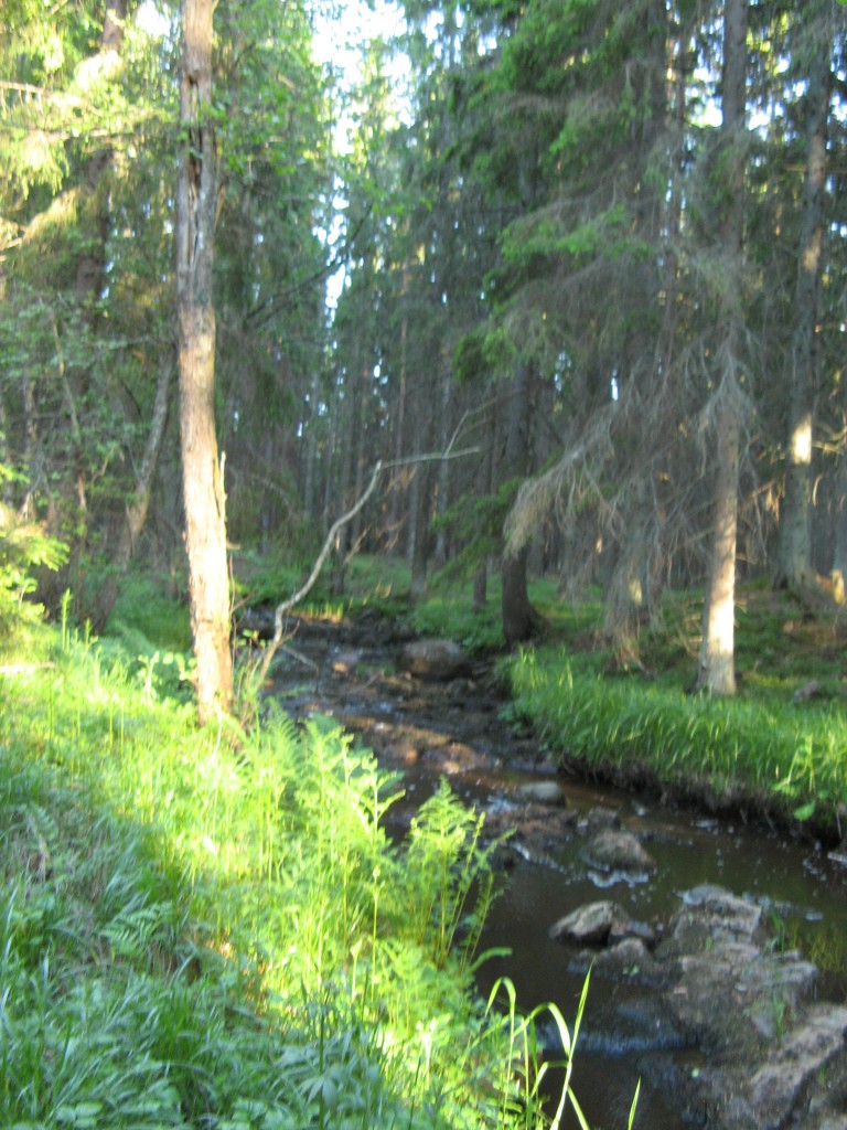 Bäck