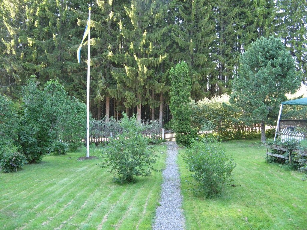 Trädgårdsvy