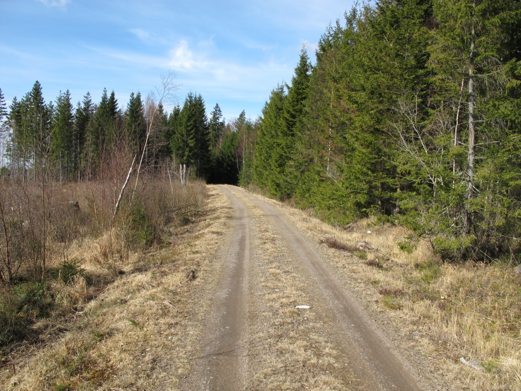 En tom väg