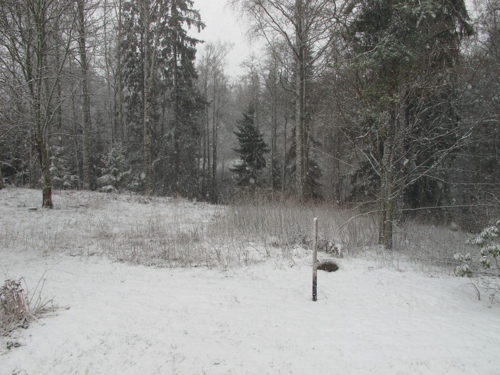 Snö